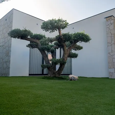 Villa Vietnam House Areias de Vilar