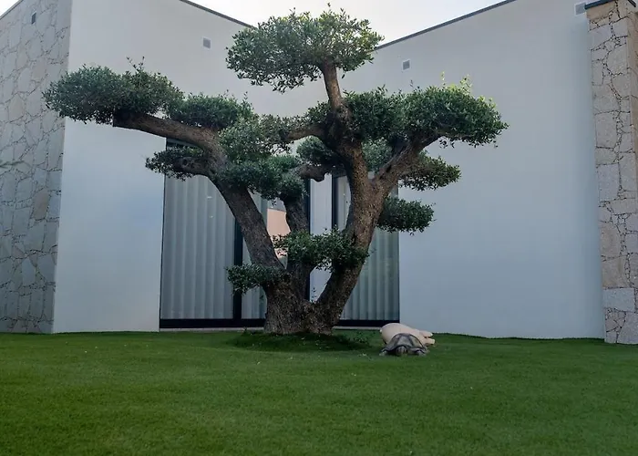 빌라 Vietnam House Areias de Vilar